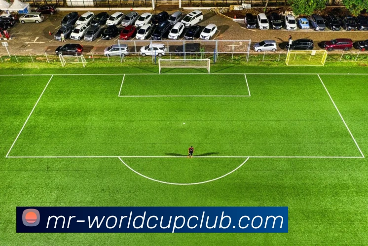 世俱杯体育投注平台生态图