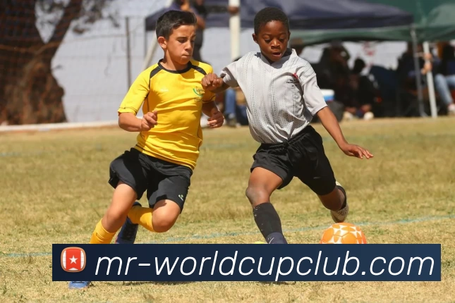 世俱杯体育投注APP 封面图